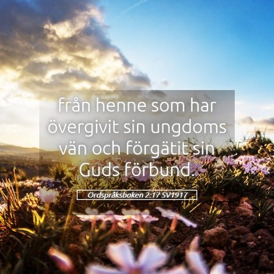Picture 05 - Ordspråksboken 2:17 SV1917 - från henne som har övergivit sin ungdoms vän - Bible Verse Picture