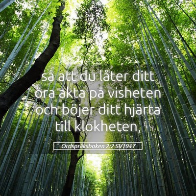 Picture 05 - Ordspråksboken 2:2 SV1917 - så att du låter ditt öra akta på visheten och - Bible Verse Picture