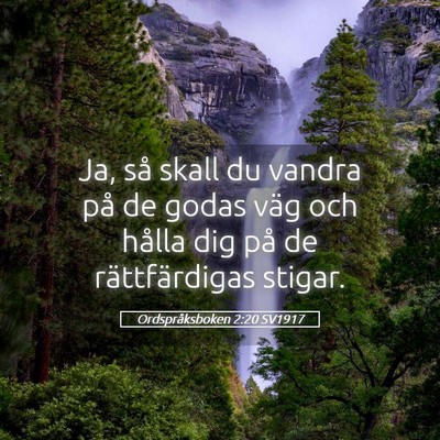 Picture 05 - Ordspråksboken 2:20 SV1917 - Ja, så skall du vandra på de godas väg och - Bible Verse Picture