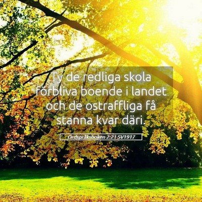 Picture 05 - Ordspråksboken 2:21 SV1917 - Ty de redliga skola förbliva boende i landet och - Bible Verse Picture