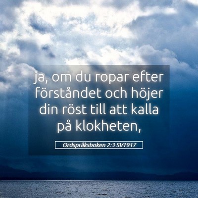Picture 05 - Ordspråksboken 2:3 SV1917 - ja, om du ropar efter förståndet och höjer din - Bible Verse Picture