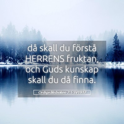 Picture 05 - Ordspråksboken 2:5 SV1917 - då skall du förstå HERRENS fruktan, och Guds - Bible Verse Picture