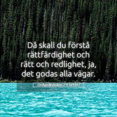 Picture 05 - Ordspråksboken 2:9 SV1917 - Då skall du förstå rättfärdighet och rätt - Bible Verse Picture