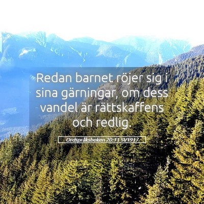 Picture 05 - Ordspråksboken 20:11 SV1917 - Redan barnet röjer sig i sina gärningar, om - Bible Verse Picture
