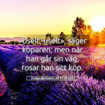 Picture 05 - Ordspråksboken 20:14 SV1917 - »Uselt, uselt», säger köparen; men när han - Bible Verse Picture