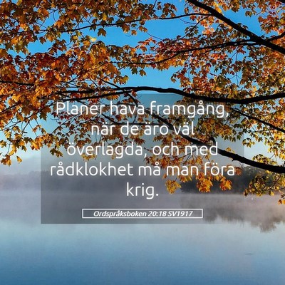 Picture 05 - Ordspråksboken 20:18 SV1917 - Planer hava framgång, när de äro väl - Bible Verse Picture