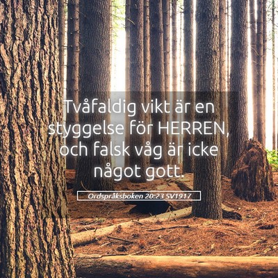 Picture 05 - Ordspråksboken 20:23 SV1917 - Tvåfaldig vikt är en styggelse för HERREN, och - Bible Verse Picture