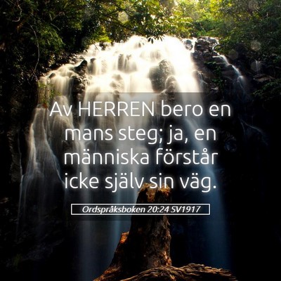Picture 05 - Ordspråksboken 20:24 SV1917 - Av HERREN bero en mans steg; ja, en människa - Bible Verse Picture