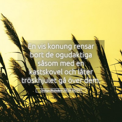 Picture 05 - Ordspråksboken 20:26 SV1917 - En vis konung rensar bort de ogudaktiga såsom - Bible Verse Picture