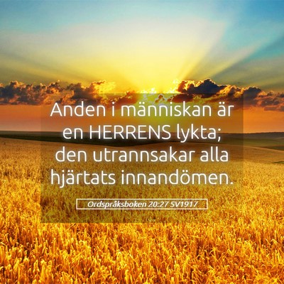 Picture 05 - Ordspråksboken 20:27 SV1917 - Anden i människan är en HERRENS lykta; den - Bible Verse Picture