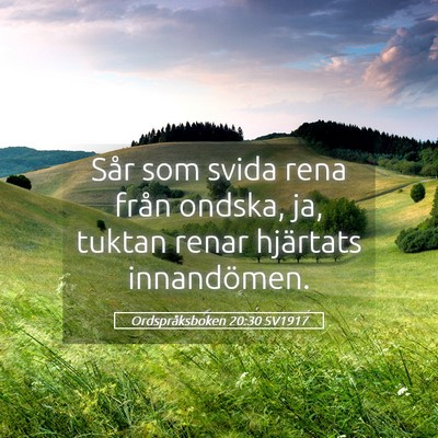 Picture 05 - Ordspråksboken 20:30 SV1917 - Sår som svida rena från ondska, ja, tuktan - Bible Verse Picture