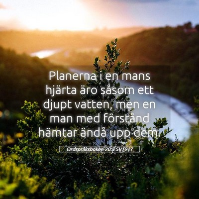 Picture 05 - Ordspråksboken 20:5 SV1917 - Planerna i en mans hjärta äro såsom ett djupt - Bible Verse Picture