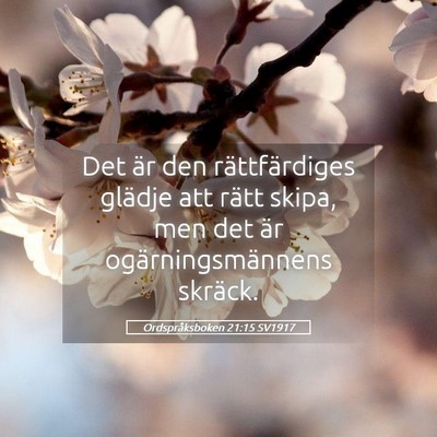 Picture 05 - Ordspråksboken 21:15 SV1917 - Det är den rättfärdiges glädje att rätt - Bible Verse Picture