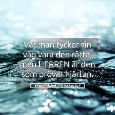 Picture 05 - Ordspråksboken 21:2 SV1917 - Var man tycker sin väg vara den rätta, men - Bible Verse Picture