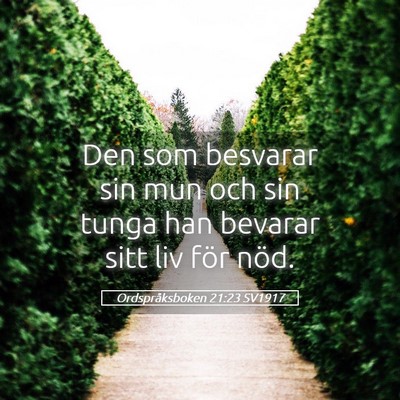 Picture 05 - Ordspråksboken 21:23 SV1917 - Den som besvarar sin mun och sin tunga han - Bible Verse Picture