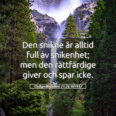 Picture 05 - Ordspråksboken 21:26 SV1917 - Den snikne är alltid full av snikenhet; men den - Bible Verse Picture