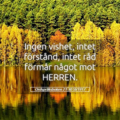 Picture 05 - Ordspråksboken 21:30 SV1917 - Ingen vishet, intet förstånd, intet råd - Bible Verse Picture