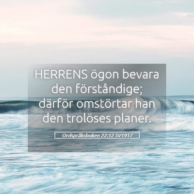 Picture 05 - Ordspråksboken 22:12 SV1917 - HERRENS ögon bevara den förståndige; därför - Bible Verse Picture