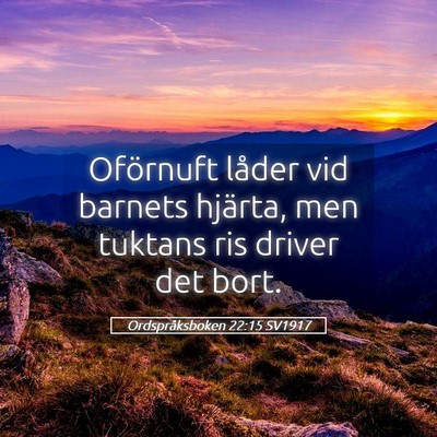 Picture 05 - Ordspråksboken 22:15 SV1917 - Oförnuft låder vid barnets hjärta, men tuktans - Bible Verse Picture