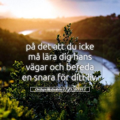 Picture 05 - Ordspråksboken 22:25 SV1917 - på det att du icke må lära dig hans vägar och - Bible Verse Picture