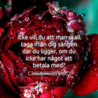 Picture 05 - Ordspråksboken 22:27 SV1917 - Icke vill du att man skall taga ifrån dig - Bible Verse Picture
