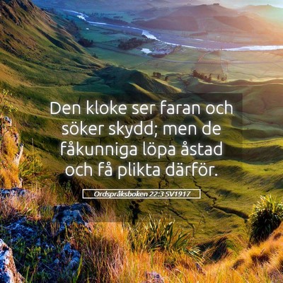 Picture 05 - Ordspråksboken 22:3 SV1917 - Den kloke ser faran och söker skydd; men de - Bible Verse Picture