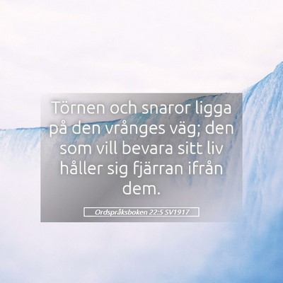 Picture 05 - Ordspråksboken 22:5 SV1917 - Törnen och snaror ligga på den vrånges väg; - Bible Verse Picture