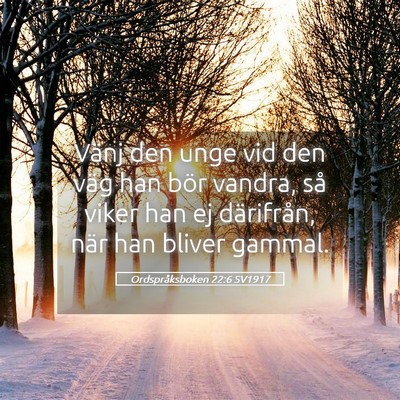 Picture 05 - Ordspråksboken 22:6 SV1917 - Vänj den unge vid den väg han bör vandra, så - Bible Verse Picture