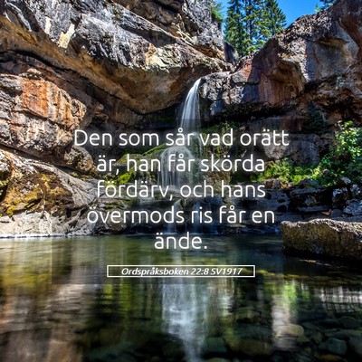 Picture 05 - Ordspråksboken 22:8 SV1917 - Den som sår vad orätt är, han får skörda - Bible Verse Picture