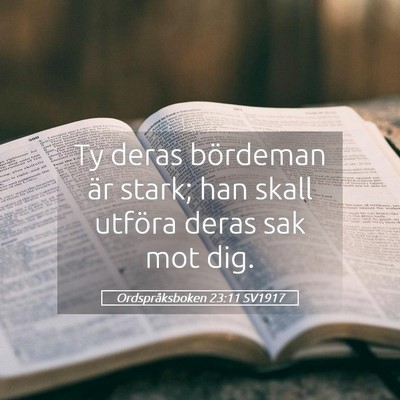 Picture 05 - Ordspråksboken 23:11 SV1917 - Ty deras bördeman är stark; han skall utföra - Bible Verse Picture