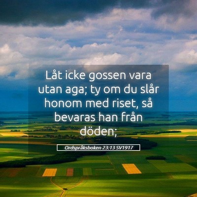 Picture 05 - Ordspråksboken 23:13 SV1917 - Låt icke gossen vara utan aga; ty om du slår - Bible Verse Picture