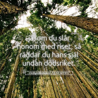 Picture 05 - Ordspråksboken 23:14 SV1917 - ja, om du slår honom med riset, så räddar du - Bible Verse Picture