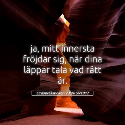 Picture 05 - Ordspråksboken 23:16 SV1917 - ja, mitt innersta fröjdar sig, när dina läppar - Bible Verse Picture