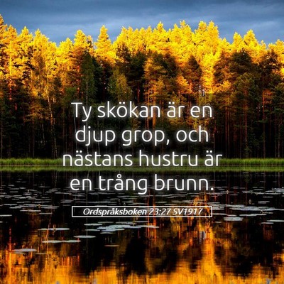 Picture 05 - Ordspråksboken 23:27 SV1917 - Ty skökan är en djup grop, och nästans hustru - Bible Verse Picture