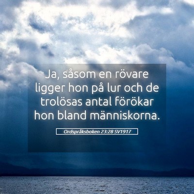 Picture 05 - Ordspråksboken 23:28 SV1917 - Ja, såsom en rövare ligger hon på lur och de - Bible Verse Picture