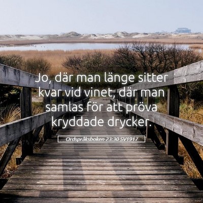 Picture 05 - Ordspråksboken 23:30 SV1917 - Jo, där man länge sitter kvar vid vinet, där - Bible Verse Picture