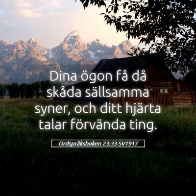 Picture 05 - Ordspråksboken 23:33 SV1917 - Dina ögon få då skåda sällsamma syner, och - Bible Verse Picture