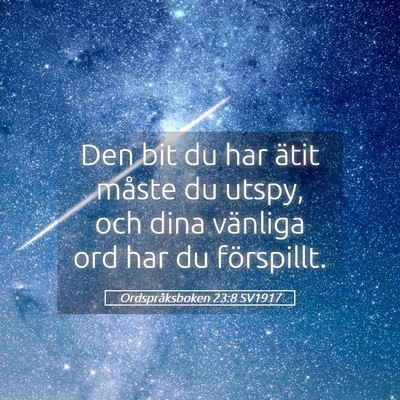 Picture 05 - Ordspråksboken 23:8 SV1917 - Den bit du har ätit måste du utspy, och dina - Bible Verse Picture
