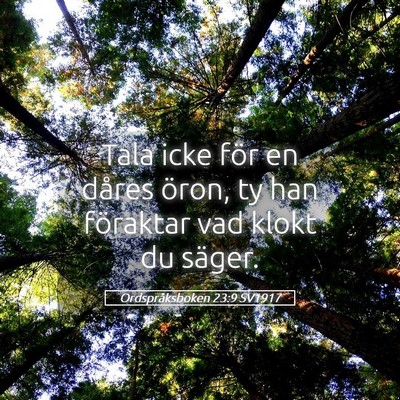 Picture 05 - Ordspråksboken 23:9 SV1917 - Tala icke för en dåres öron, ty han föraktar - Bible Verse Picture