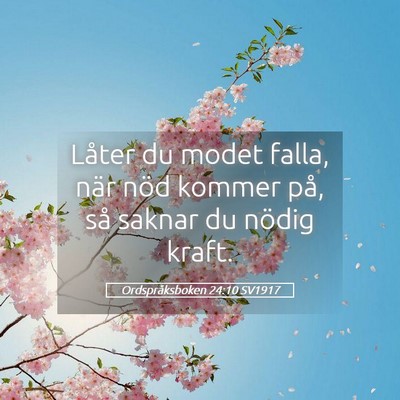 Picture 05 - Ordspråksboken 24:10 SV1917 - Låter du modet falla, när nöd kommer på, så - Bible Verse Picture
