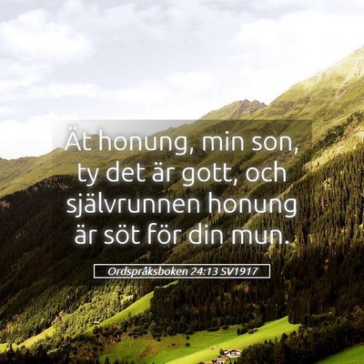 Picture 05 - Ordspråksboken 24:13 SV1917 - Ät honung, min son, ty det är gott, och - Bible Verse Picture