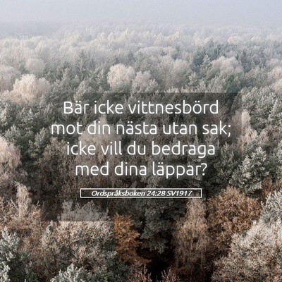 Picture 05 - Ordspråksboken 24:28 SV1917 - Bär icke vittnesbörd mot din nästa utan sak; - Bible Verse Picture