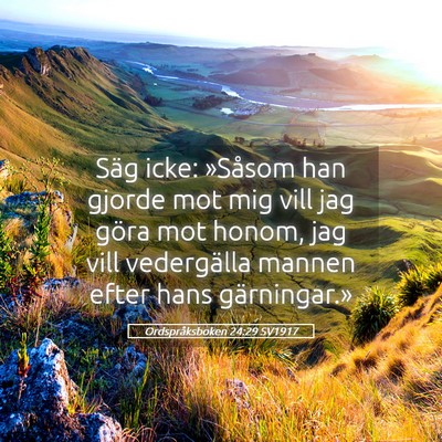 Picture 05 - Ordspråksboken 24:29 SV1917 - Säg icke: »Såsom han gjorde mot mig vill jag - Bible Verse Picture