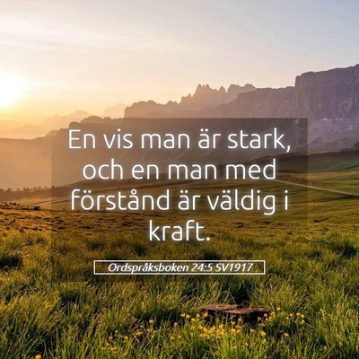 Picture 05 - Ordspråksboken 24:5 SV1917 - En vis man är stark, och en man med förstånd - Bible Verse Picture