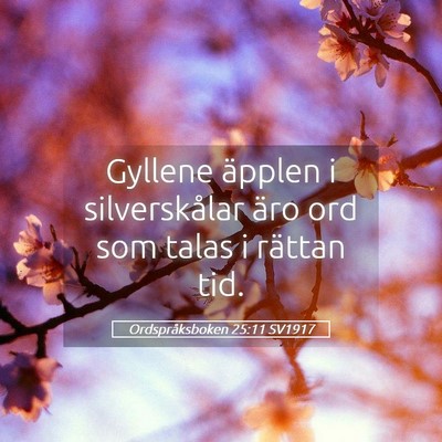 Picture 05 - Ordspråksboken 25:11 SV1917 - Gyllene äpplen i silverskålar äro ord som - Bible Verse Picture