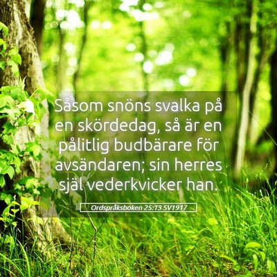 Picture 05 - Ordspråksboken 25:13 SV1917 - Såsom snöns svalka på en skördedag, så är - Bible Verse Picture