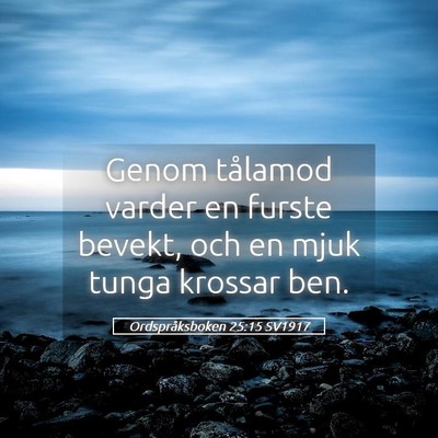 Picture 05 - Ordspråksboken 25:15 SV1917 - Genom tålamod varder en furste bevekt, och en - Bible Verse Picture