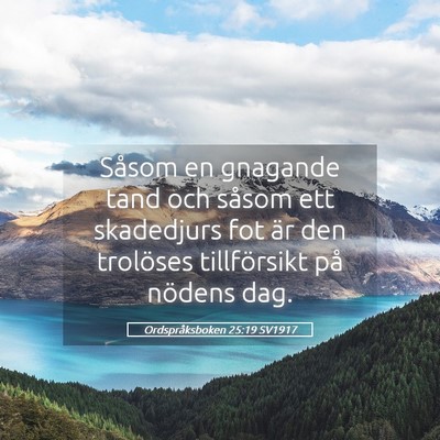 Picture 05 - Ordspråksboken 25:19 SV1917 - Såsom en gnagande tand och såsom ett skadedjurs - Bible Verse Picture
