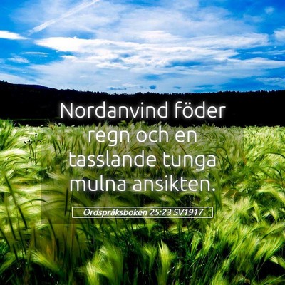 Picture 05 - Ordspråksboken 25:23 SV1917 - Nordanvind föder regn och en tasslande tunga - Bible Verse Picture