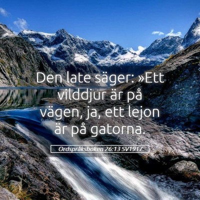 Picture 05 - Ordspråksboken 26:13 SV1917 - Den late säger: »Ett vilddjur är på vägen, - Bible Verse Picture